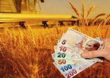 Tarımsal girdi fiyatları artışı sürüyor
