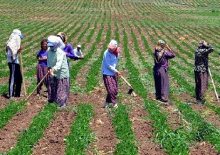 15 Ekim Dünya Kadın Çiftçiler Günü
