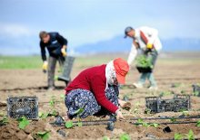 Üretici fiyatlarında yılık artış yüzde 72